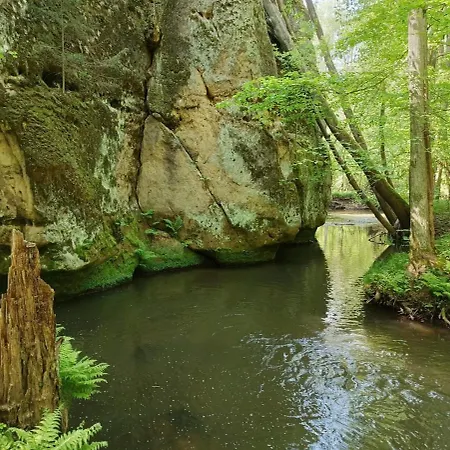 דירה U Studanky *